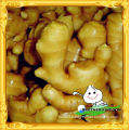 China fresh ginger/ price of fresh ginger/ Chinese fresh ginger factory